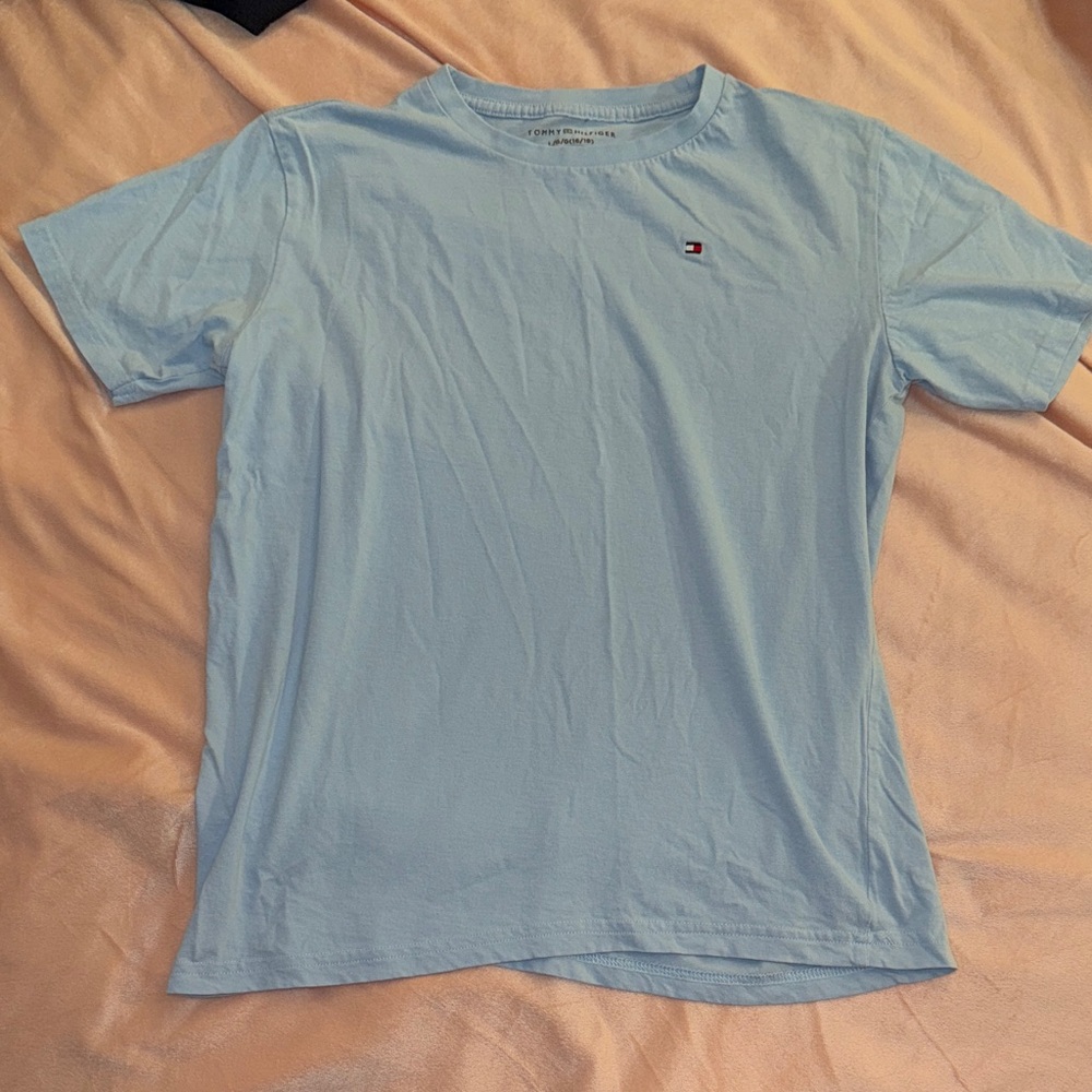Tommy Hilfiger Sky Blue Tee
